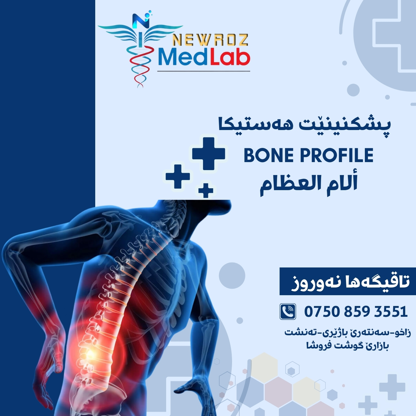 bone profile
